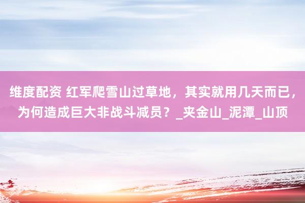 维度配资 红军爬雪山过草地，其实就用几天而已，为何造成巨大非战斗减员？_夹金山_泥潭_山顶