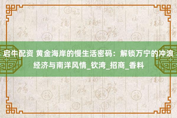 启牛配资 黄金海岸的慢生活密码：解锁万宁的冲浪经济与南洋风情_钦湾_招商_香料