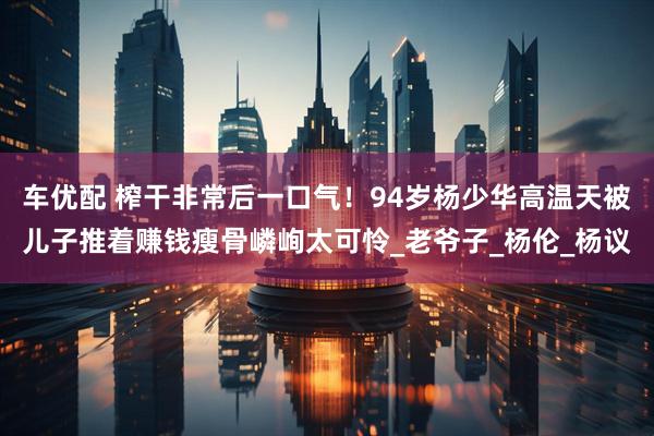 车优配 榨干非常后一口气！94岁杨少华高温天被儿子推着赚钱瘦骨嶙峋太可怜_老爷子_杨伦_杨议
