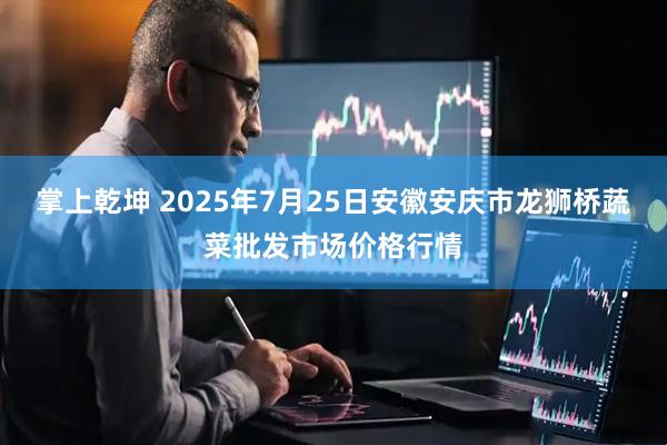掌上乾坤 2025年7月25日安徽安庆市龙狮桥蔬菜批发市场价格行情